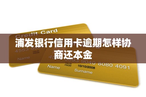 浦发银行信用卡逾期怎样协商还本金