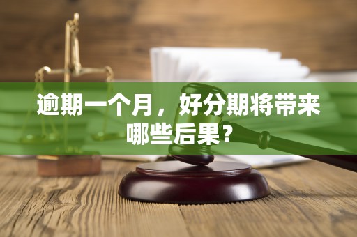 逾期一个月，好分期将带来哪些后果？