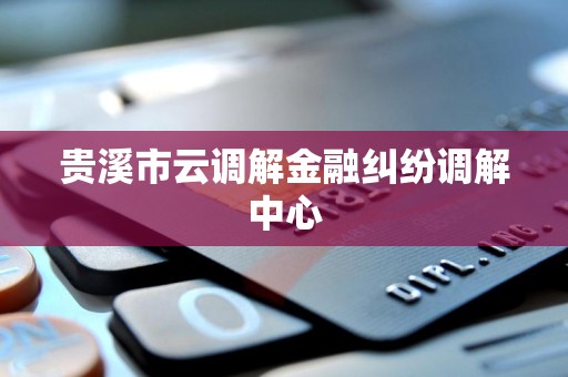 贵溪市云调解金融纠纷调解中心