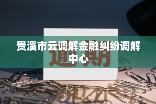 贵溪市云调解金融纠纷调解中心