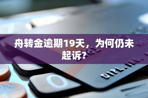 舟转金逾期19天，为何仍未起诉？
