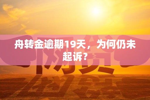舟转金逾期19天，为何仍未起诉？