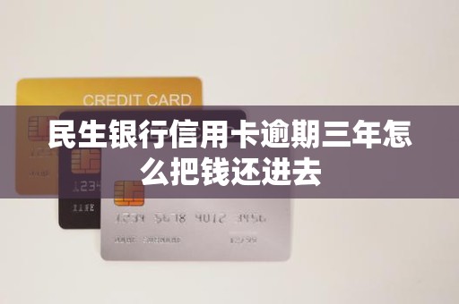 民生银行信用卡逾期三年怎么把钱还进去