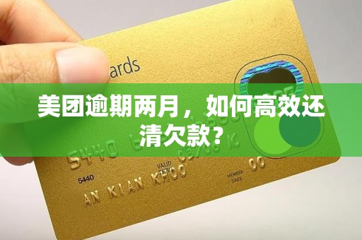 美团逾期两月，如何高效还清欠款？