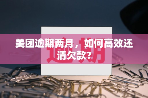 美团逾期两月，如何高效还清欠款？