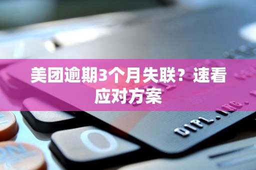 美团逾期3个月失联？速看应对方案