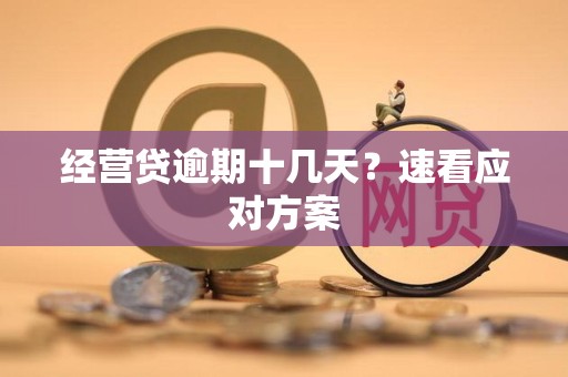 经营贷逾期十几天？速看应对方案