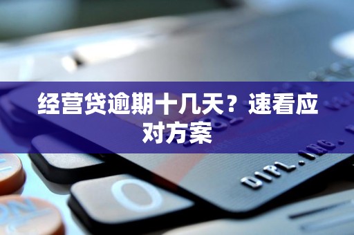 经营贷逾期十几天？速看应对方案