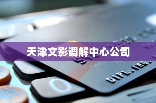 天津文影调解中心公司