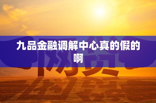 九品金融调解中心真的假的啊