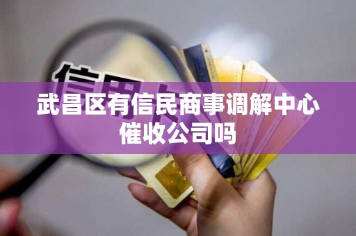武昌区有信民商事调解中心催收公司吗