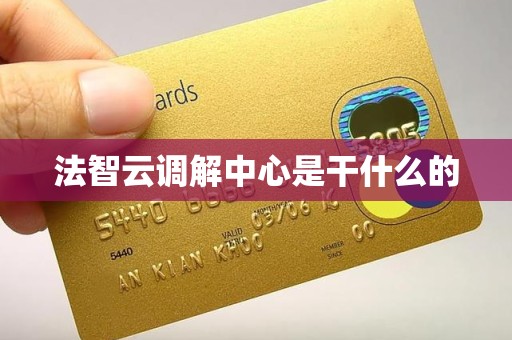法智云调解中心是干什么的