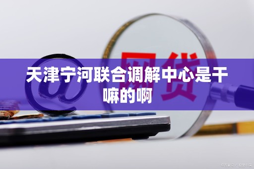 天津宁河联合调解中心是干嘛的啊