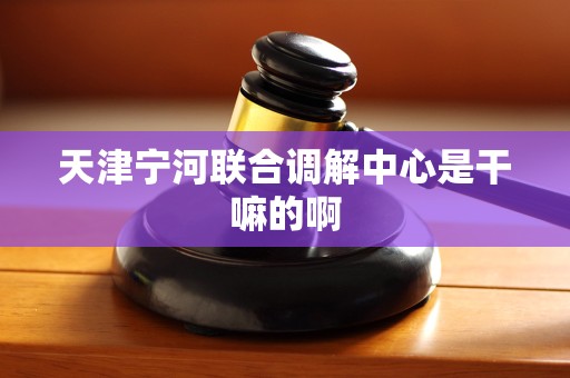 天津宁河联合调解中心是干嘛的啊