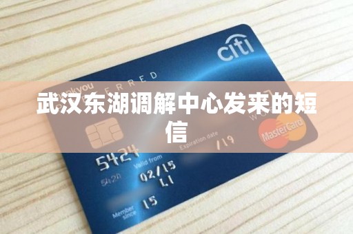武汉东湖调解中心发来的短信