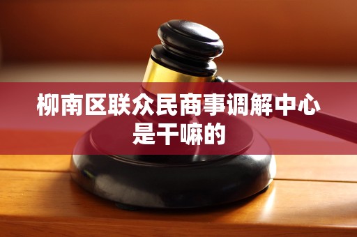 柳南区联众民商事调解中心是干嘛的