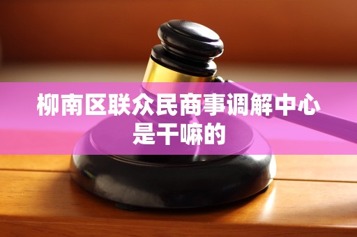 柳南区联众民商事调解中心是干嘛的