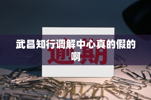 武昌知行调解中心真的假的啊