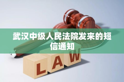 武汉中级人民法院发来的短信通知 武汉中级人民法院发来的短信通知