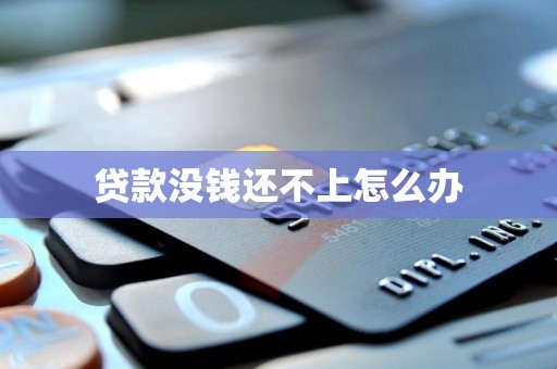 贷款没钱还不上怎么办