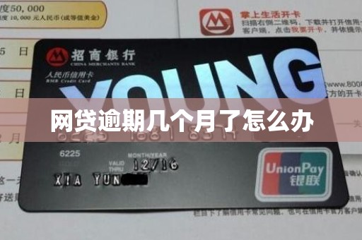 网贷逾期几个月了怎么办