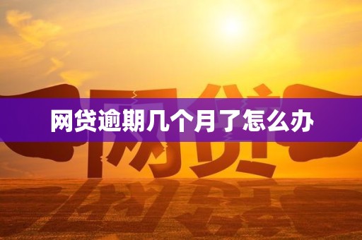 网贷逾期几个月了怎么办