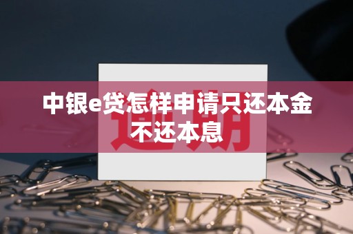 中银e贷怎样申请只还本金不还本息