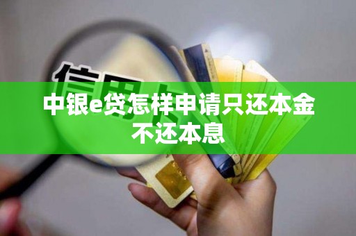 中银e贷怎样申请只还本金不还本息