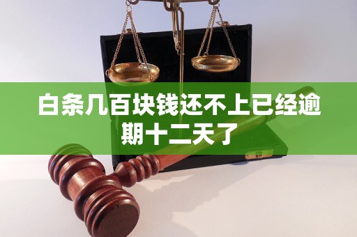 白条几百块钱还不上已经逾期十二天了 白条几百块钱还不上已经逾期十二天了