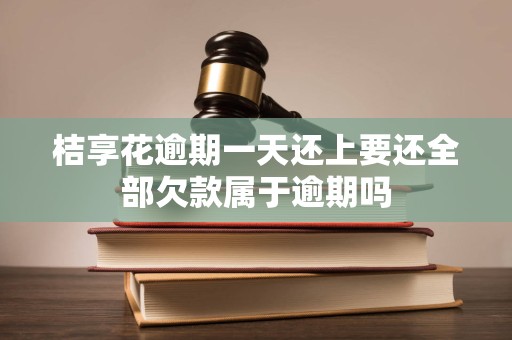 桔享花逾期一天还上要还全部欠款属于逾期吗