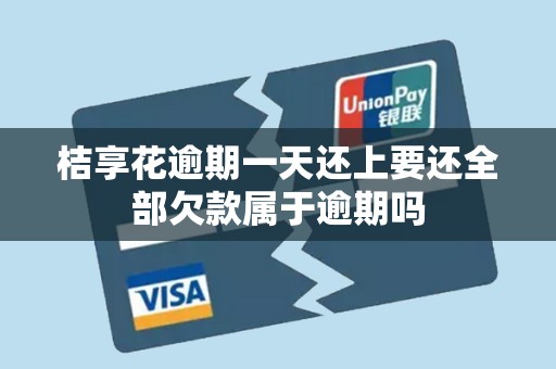 桔享花逾期一天还上要还全部欠款属于逾期吗