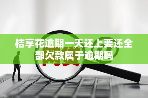 桔享花逾期一天还上要还全部欠款属于逾期吗