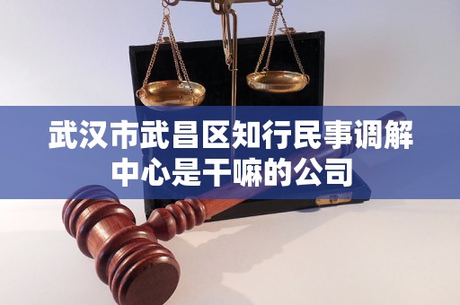 武汉市武昌区知行民事调解中心是干嘛的公司