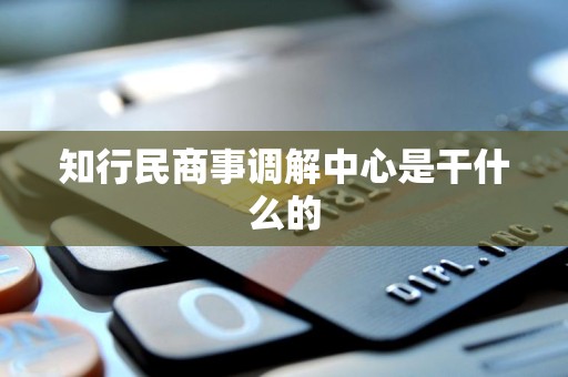 知行民商事调解中心是干什么的