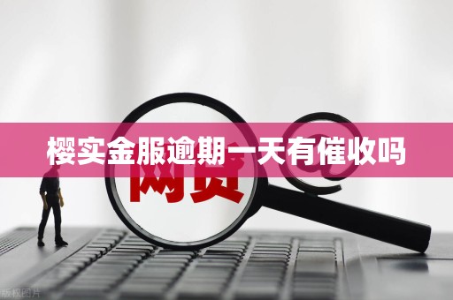 樱实金服逾期一天有催收吗