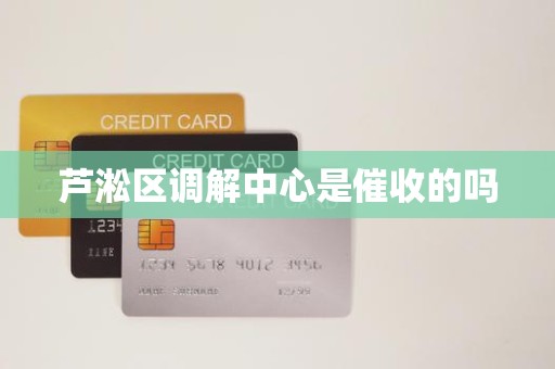 芦淞区调解中心是催收的吗