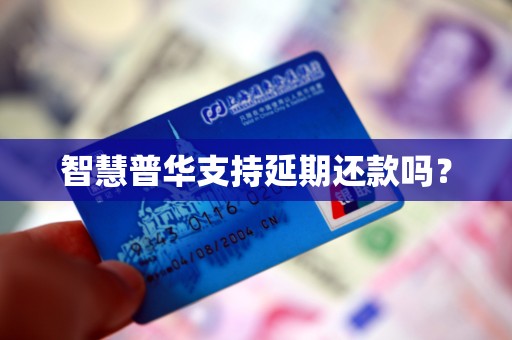 智慧普华支持延期还款吗？
