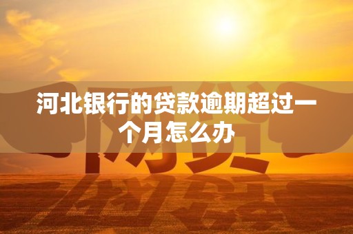 河北银行的贷款逾期超过一个月怎么办