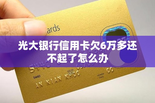 光大银行信用卡欠6万多还不起了怎么办
