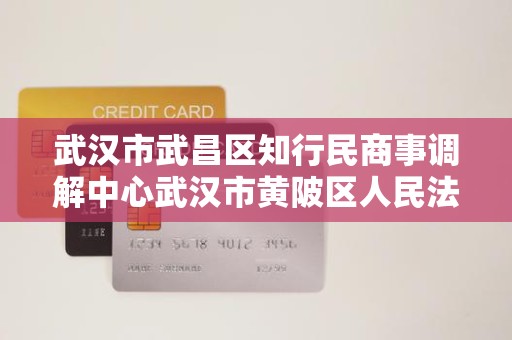 武汉市武昌区知行民商事调解中心武汉市黄陂区人民法院特邀调解组织
