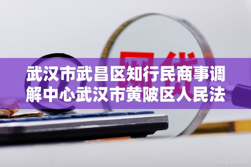 武汉市武昌区知行民商事调解中心武汉市黄陂区人民法院特邀调解组织