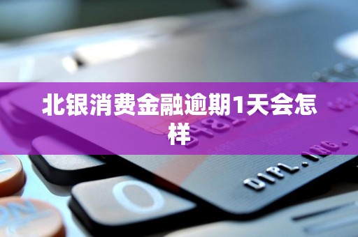 北银消费金融逾期1天会怎样