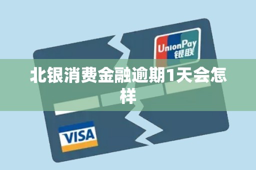 北银消费金融逾期1天会怎样