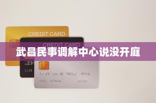 武昌民事调解中心说没开庭