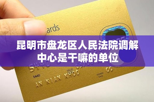 昆明市盘龙区人民法院调解中心是干嘛的单位