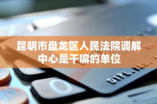 昆明市盘龙区人民法院调解中心是干嘛的单位