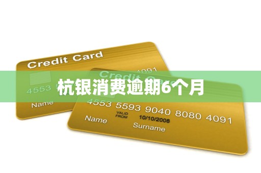 杭银消费逾期6个月