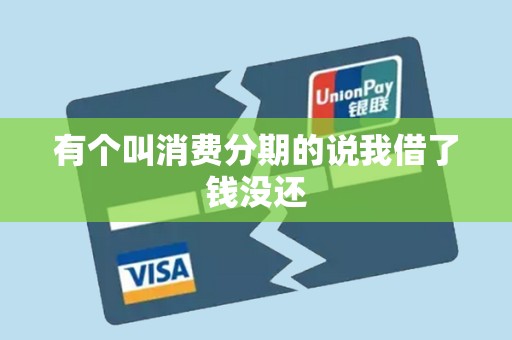 有个叫消费分期的说我借了钱没还