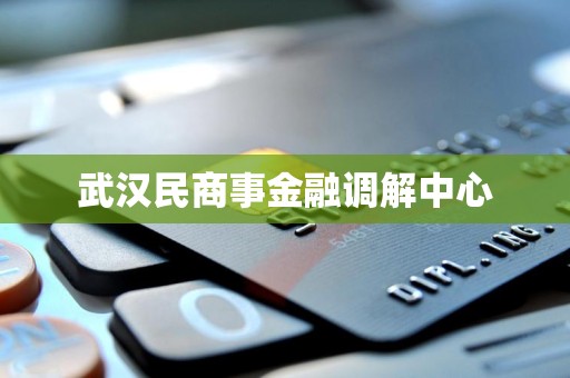 武汉民商事金融调解中心