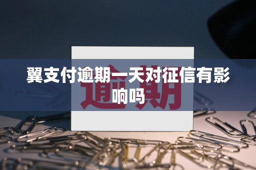 翼支付逾期一天对征信有影响吗 翼支付逾期一天对征信有影响吗